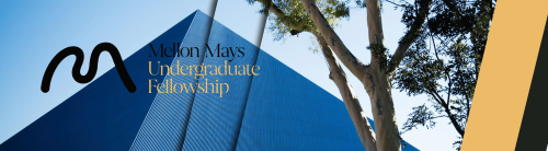 Mellon Mays Undergraduate Fellowship banner.