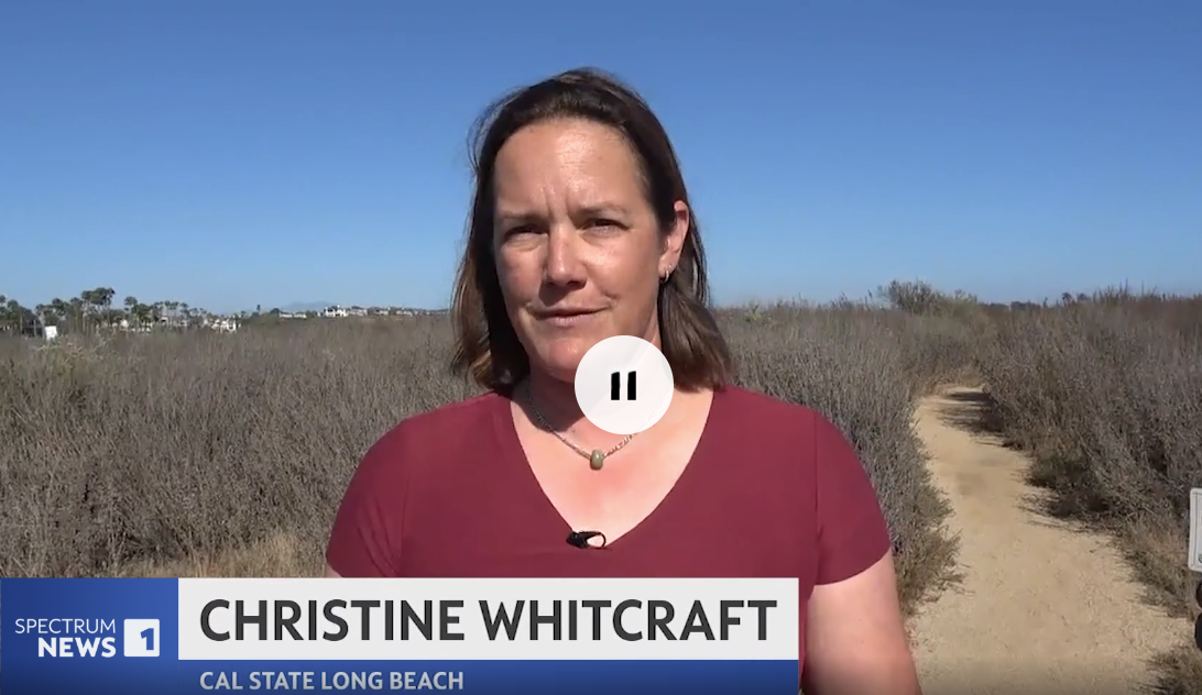 Dr. Christine Whitcraft
